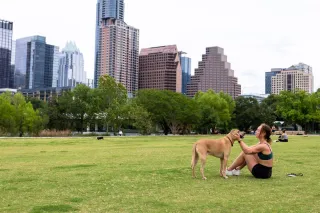 Moving to Austin With a Dog : Everything You Need to Know