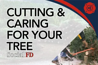 Cutting and Caring for Your Real Christmas Tree