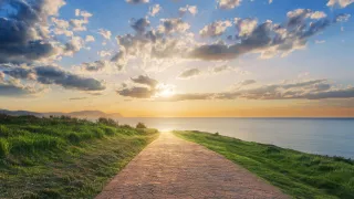 The Universal Quest for Happiness: A Journey Within