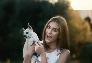 Aligned Harmony with Our Fur Family:  Deepening the Connection with Our Beloved Pets