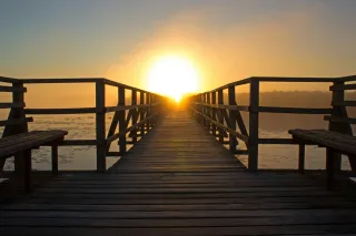 SOURCE – It’s Within You’: Exploring Our Divine Nature and Aligned Harmony's Mission