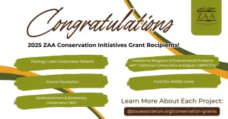 2025 ZAA Conservation Initiatives Grant Recipients