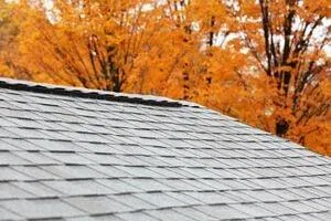 RANKING THE SEASONS FOR BEST TIME TO REPLACE A ROOF (SPOILER: IT’S FALL!)