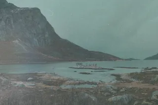 Glåsbird's Nordic Vinyl