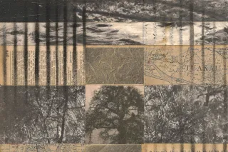 Grounding Sounds: Adrian Lane