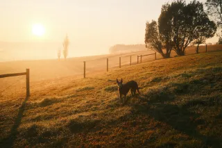 5 Albums For Cold Mornings by Clariloops