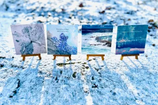 Whitelabrecs January Sale: Walkthrough