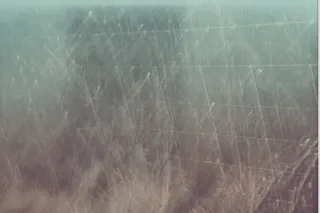 New Vervine Show: Vervine 014