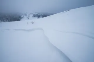 Ambedo: the quiet attention that art still needs