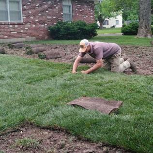 How Much Does It Cost to Install Mulch?