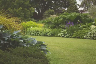 How to Design a Functional and Beautiful Landscape | Easy Landscaping Tips
