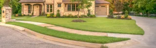 10 Landscaping Tips for Beginners: How to Start Your Yard Project