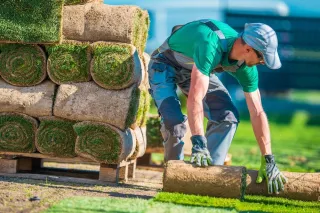 How Much Does Lawn Care Cost in Sedalia, MO?