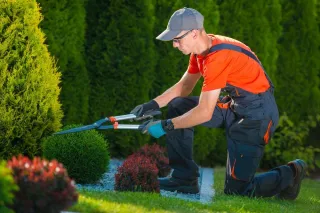How Much Does Landscaping Cost in Sedalia, MO?