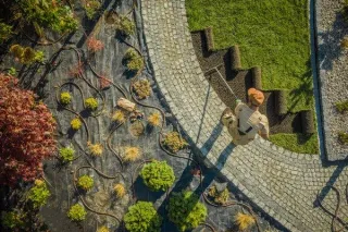 Sod Installation vs. Seed vs. Clover: What Works Best in Missouri Lawns?