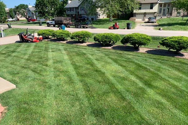 Seasonal Landscaping Checklist for Sedalia Homes