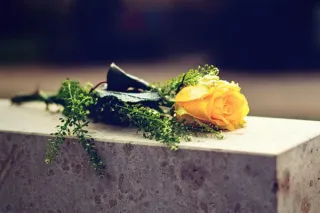 Direct Cremation Offerings