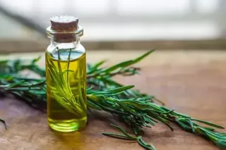Rosemary Oil for Treating Alopecia Areata: A Natural Solution