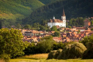 Top 10 Trasee și Activități în Natură în Jurul Sibiului: Ghidul Complet pentru Aventurieri