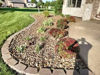 What Are The Latest Trends In Landscaping For 2024?