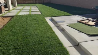 Should You Invest In Landscaping? Top Upgrades For Value