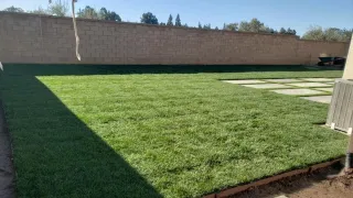 Want the Perfect Yard? Expert Tips for a Natural Landscape
