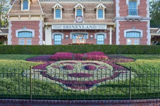 Blink and You’ll Miss It: The Art of Photographing Rare Theme Park Moments