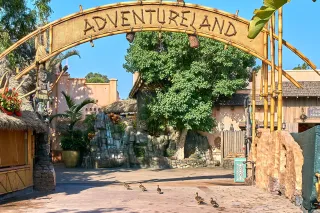 Ducks Before Dole Whip: Photographing the Funny Side of Theme Parks