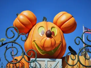 From Pool Days to Pumpkin Nights: Capturing the Seasonal Crossover