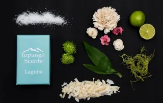 Laguna: The New Scent That’s Giving Us All the Beachy Feels