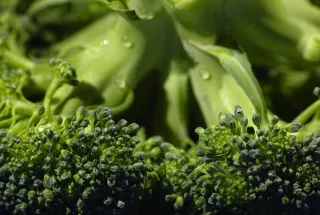 Magnesium: Menopause Miracle Mineral