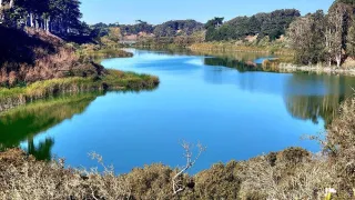 🌊 Lake Days & Easy Drives: Why You Need to Cruise to Lake Merced