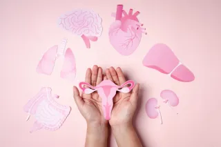 Santé Féminine & Entrepreneuriat : comment adapter son rythme naturellement
