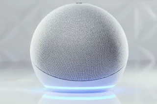 Should We Be Polite to Alexa?