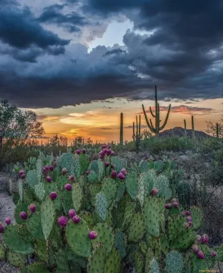 Scottsdale Adventure Retreats and Concierge