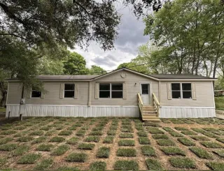 111 Youpon, Daisetta, Texas 775333