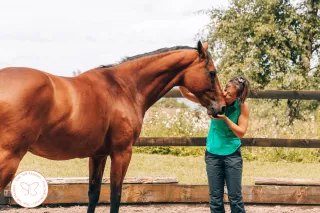 🐴 What If Your Horse Is Just Reflecting You?
