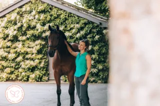 The Surrender Lesson: When the Horse Turns Away