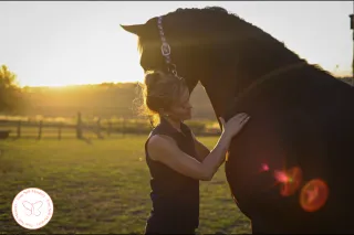 Your Horse’s Behaviour Isn’t the Problem – 3 Shifts That Start With You
