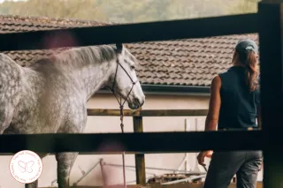 I Didn't Have the Language