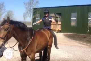 How to Calm an Anxious Horse: The Surprising Truth About What Your Horse Is Really Feeling