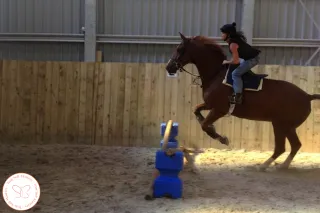 The 5-Minute Win: Why Rewarding the “Try” Changes Everything