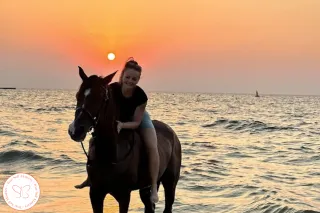 When the Experts are Stuck: The Case of the Invisible Brace