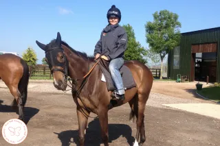 Why Your Horse’s “Aggression” Might Actually Be a Scream for Boundaries