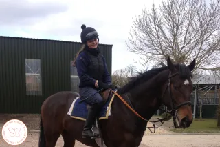 The Calm No: When Saying No Feels Like Dignity