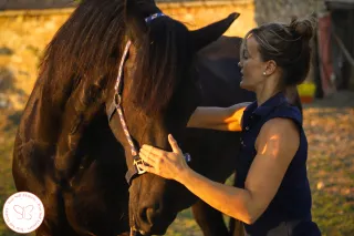 When Your Horse Tells You Something's Wrong