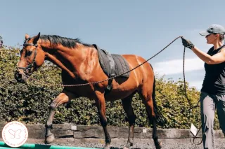 When Life Gets Messy, Don't Abandon What Works