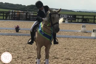 How Many Times a Week Should I Do Pole Work?