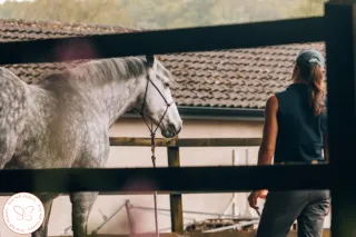 Your Horse is Whispering. Are You Listening?