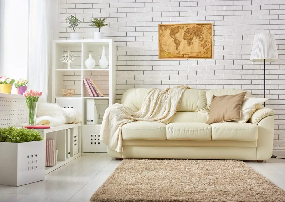 Phoenix Home Cleaning Tips